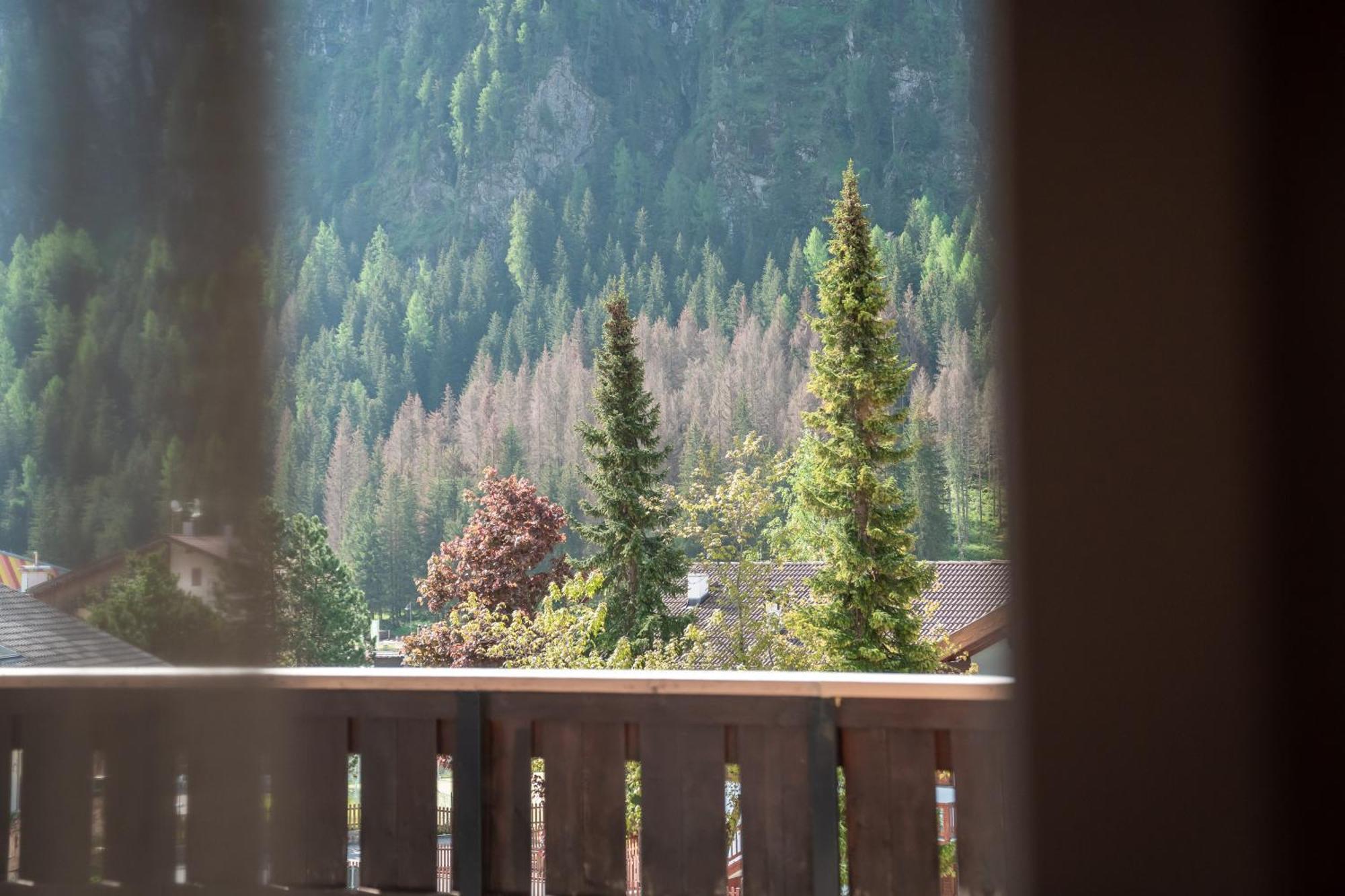 Hotel Grohmann Campitello di Fassa Exteriör bild